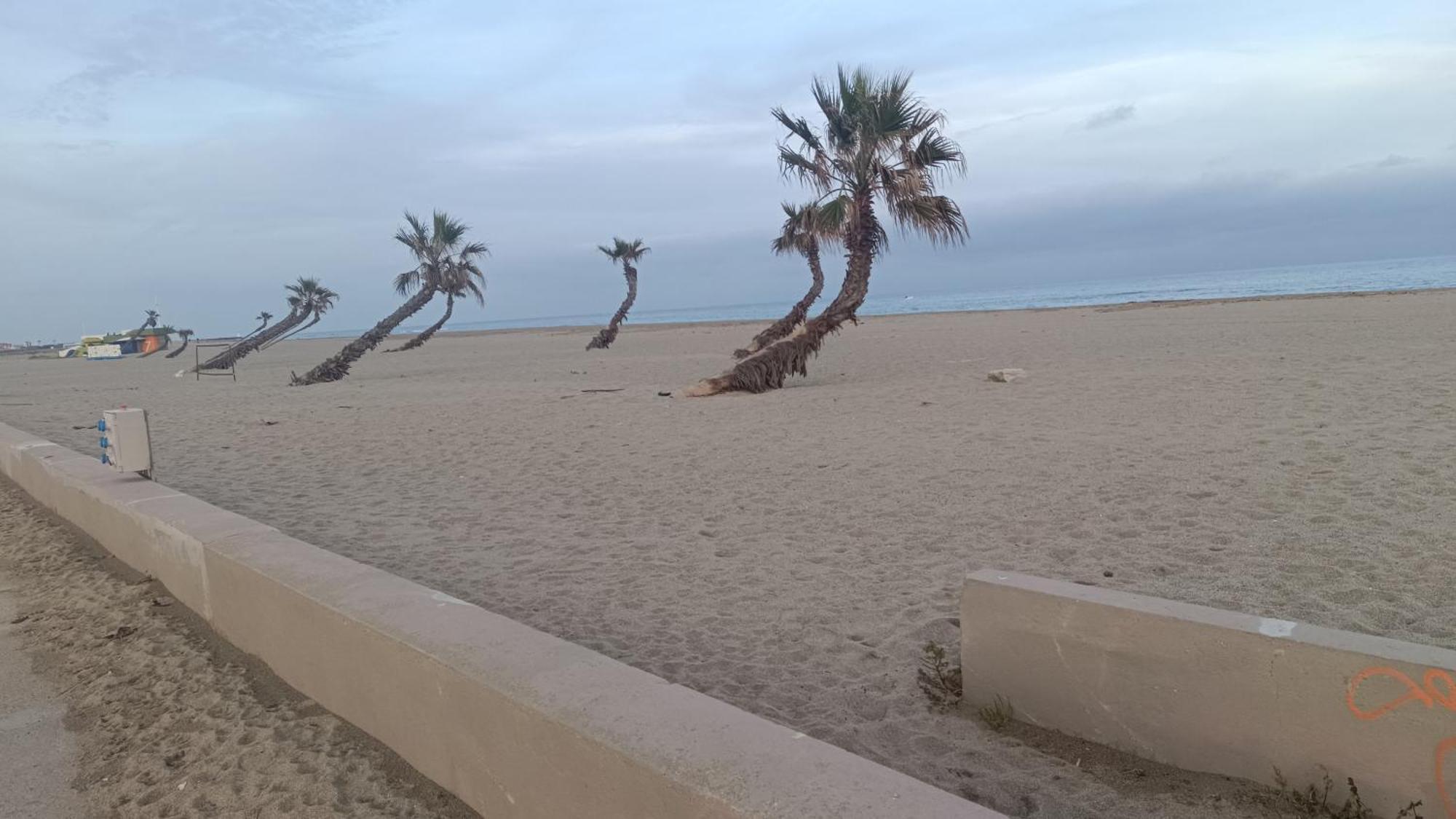 شقة Les 2 Dauphins Le Barcarès المظهر الخارجي الصورة